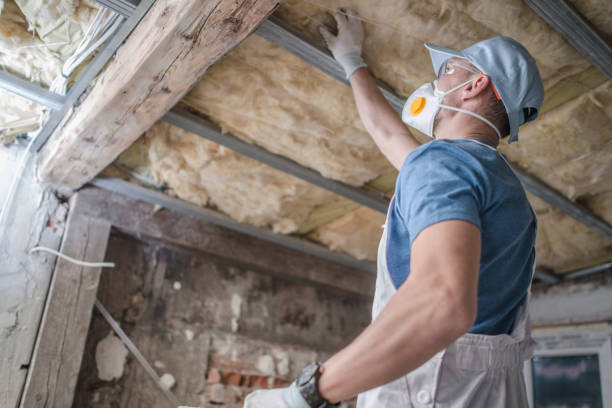 Best Insulation Maintenance and Repair in Morton, IL